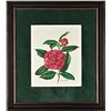 Image 1 : Louise Estes (20th c) American, Botanical W/C