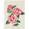 Image 2 : Louise Estes (20th c) American, Botanical W/C