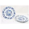 Image 4 : Danube Blue & White Plate/Tea Set