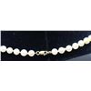 Image 4 : Pearl Necklace and Bracelet