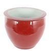 Image 1 : Large Red Oxblood Planter