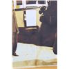 Image 8 : Massive Photo Montage w Custom Frame