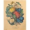 Image 2 : Currier & Ives "Apples and Plums" Print