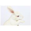 Image 2 : Boehm Ceramic Rabbit