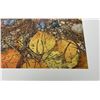 Image 2 : Bev Doolittle Signed Print The Spirit Takes Flight