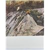 Image 2 : John Clymer Bears on the Tundra Signed Print