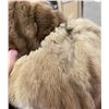 Image 4 : Russian Sable Fur Evening Shawl