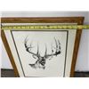 Image 4 : Dave Wade Whitetail Deer Print
