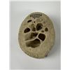 Image 1 : Big Horn Sheep Bone Core Taken by Gene Wensel