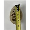 Image 3 : Big Horn Sheep Bone Core Taken by Gene Wensel