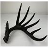 Image 2 : Once A King Bronze Deer Horn Jim Rowe