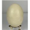 Image 2 : Predators of North America Scrimshaw Ostrich Egg
