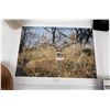 Image 1 : Andrew Warrington Woody Signed and Numbered Print