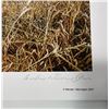 Image 2 : Andrew Warrington Woody Signed and Numbered Print