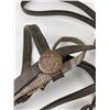 Image 2 : US Army Cavalry Bridle and Bit
