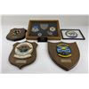 Image 1 : Blue Angels US Air Force CIA Pilot Grouping