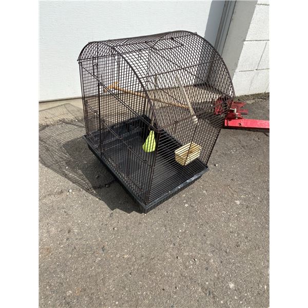 Bird Cage