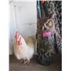 Image 1 : 16" Yard Owl & Feather Chicken