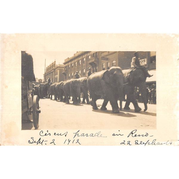 Reno, Nevada Circus Parade Elephants in the street Real Photo Postcard