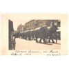 Image 1 : Reno, Nevada Circus Parade Elephants in the street Real Photo Postcard