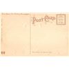 Image 2 : Alligator Border S 643 "Greetings from the Sunny South" When Melon is ripe African American Postcard