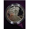 Image 1 : 1991 AMERICAN EAGLE SILVER DOLLAR PROOF