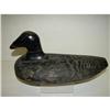 Image 1 : MAINE SCOTER DECOY