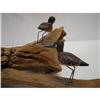 Image 3 : DECORATIVE SHOREBIRD CARVING