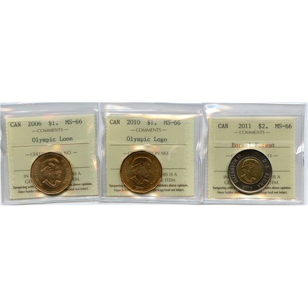 Lot of 3 ICCS Graded Loons and Toonie