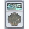 Image 2 : United Nations Monetary Silver Pattern