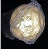 Image 2 : 2016 Original Roll of Women's Vote Loonies in Cello