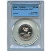 Image 1 : 2006 Silver Lullaby Loon