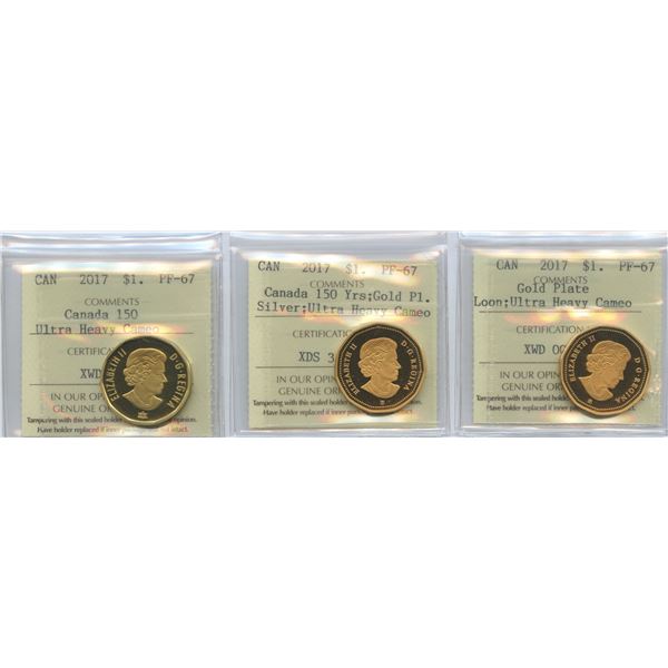 2017 ICCS Graded Loon Trio