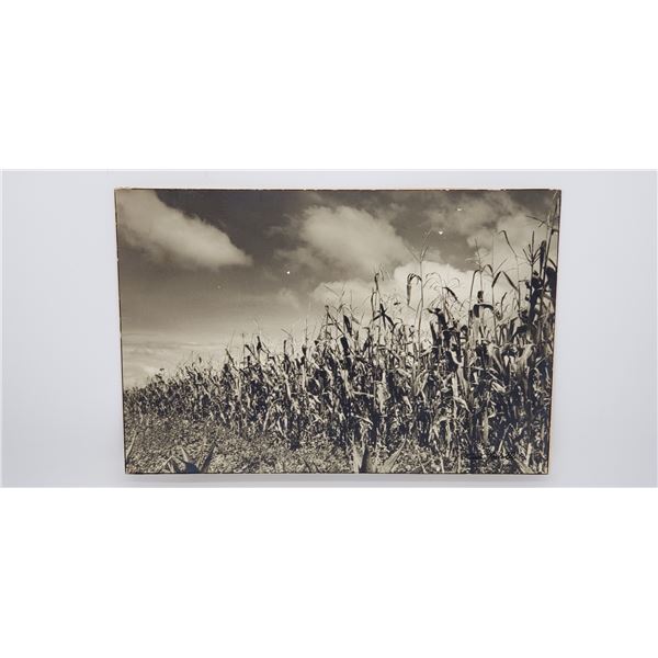 TINA MODOTTI ORIGINAL PHOTOGRAPH