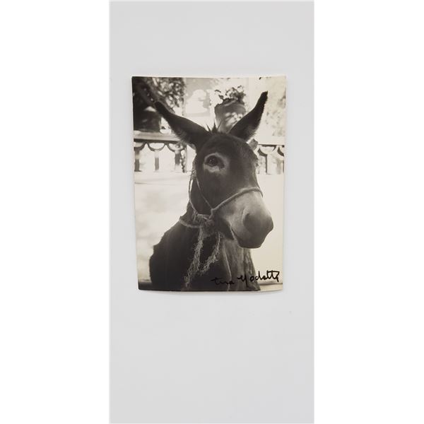 TINA MODOTT IORIGINAL PHOTOGRAPH SIGNED STUDIO STAMPED