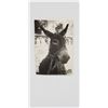 Image 1 : TINA MODOTT IORIGINAL PHOTOGRAPH SIGNED STUDIO STAMPED
