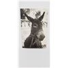 Image 3 : TINA MODOTT IORIGINAL PHOTOGRAPH SIGNED STUDIO STAMPED