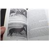 Image 2 : WHITETAIL BUCK / DEER BOOK