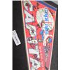 Image 2 : SPORTS PENNANT .......SIGNED WASHINGTON CAPITALS NHL