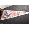 Image 1 : SPORTS PENNANT HOCKEY 1995 REGINA PATS SIGNED