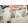 Image 2 : 1946 SEED CATALOG --- POLITICALLY INCORRECT