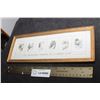 Image 1 : ANTIQUE PICTURE - GIRLS PRINT