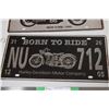 Image 2 : (2X THE MONEY) Ornamental Licence Plates
