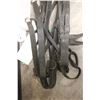Image 2 : Leads and Lines for Horse
