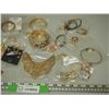 Image 3 : Lot of Costume Jewelry