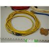 Image 2 : 3 Extension Cords and Cord End