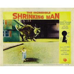 The Incredible Shrinking Man (Universal