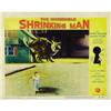 Image 1 : The Incredible Shrinking Man (Universal