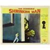 Image 2 : The Incredible Shrinking Man (Universal