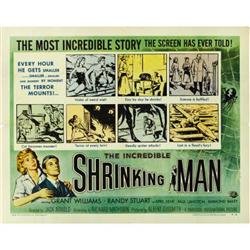 The Incredible Shrinking Man (Universal Int)